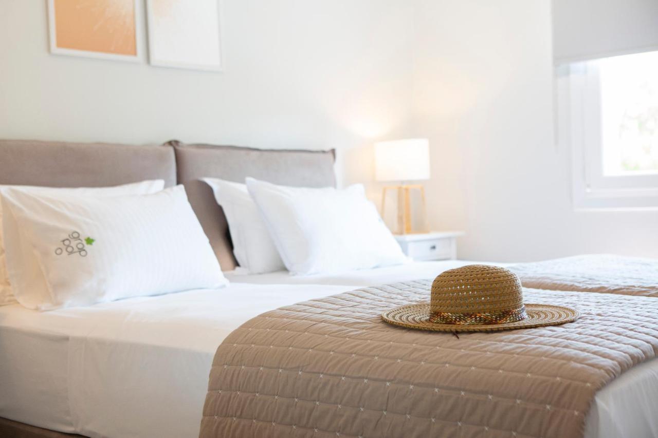 Grappolo Lefkada Villas - Vilana Ideal For Families And Small Groups Apolpaina Bagian luar foto